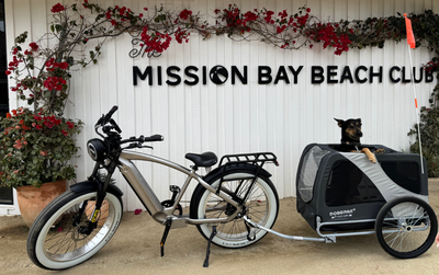 The Iconic Electric Cruiser (Custom Order)