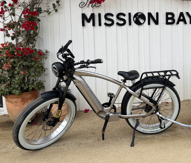 The Iconic Electric Cruiser (Custom Order)
